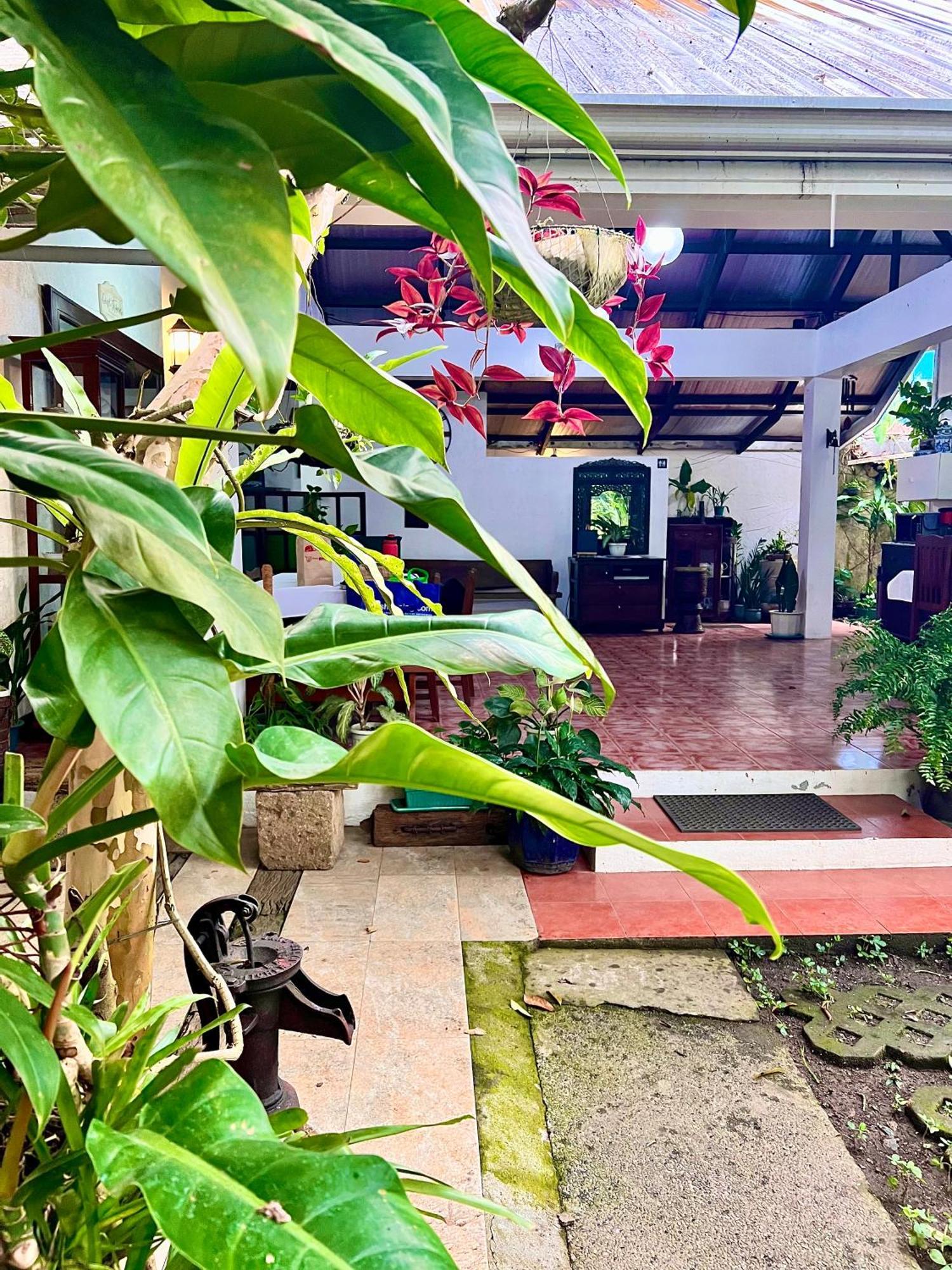 Auntie Gigi'S Place Тагайтай Экстерьер фото